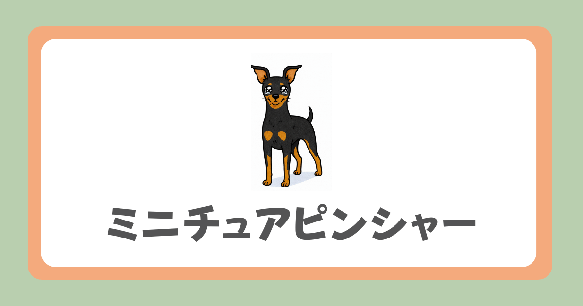ミニチュアピンシャー