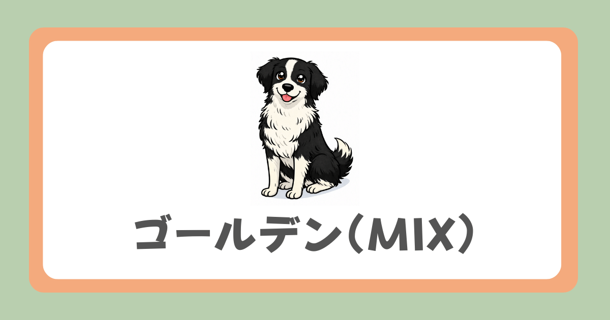 ゴールデンレトリーバー（MIX)