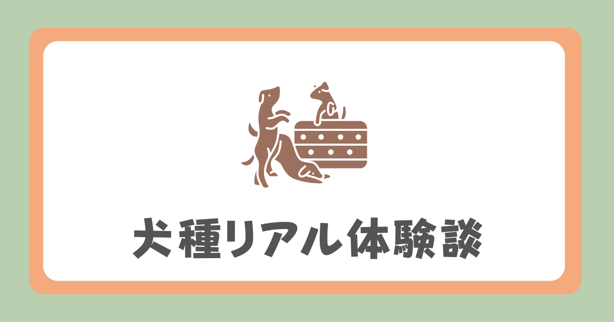 犬種リアル体験