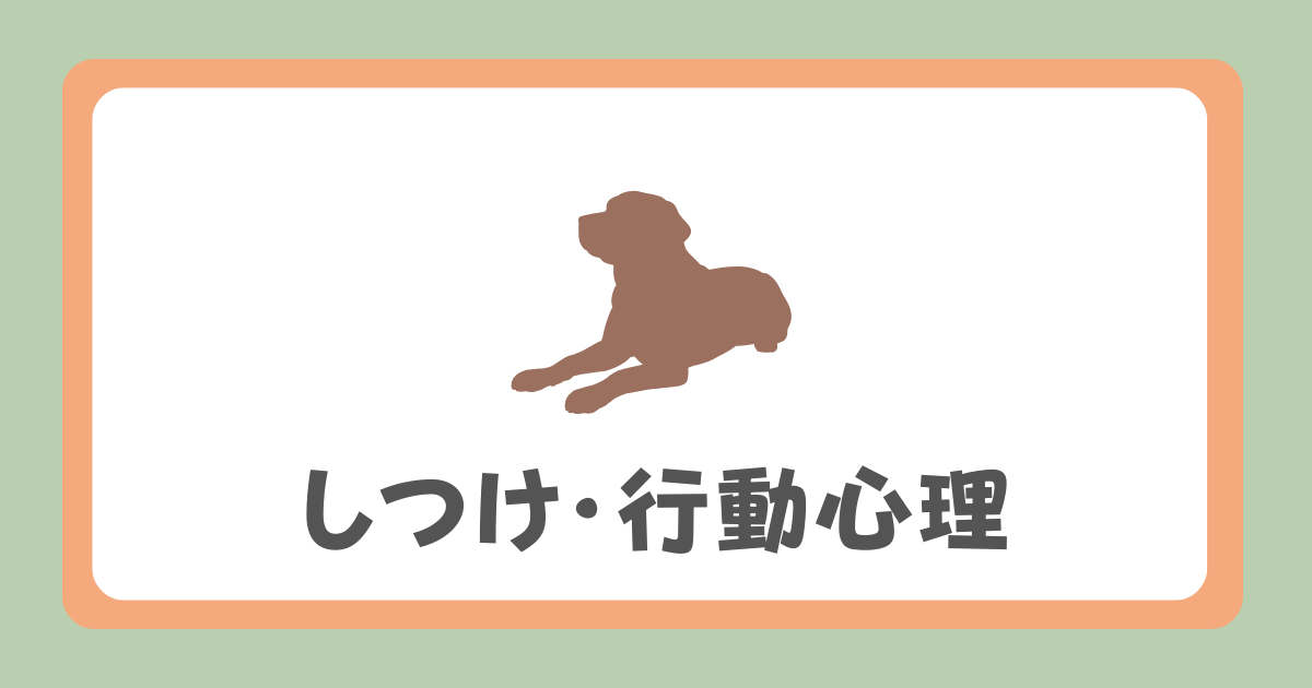 しつけ＆行動心理