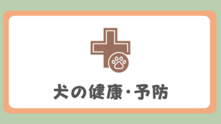 犬の健康＆予防